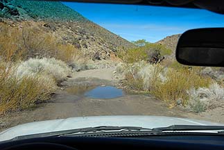 Grapevine Canyon